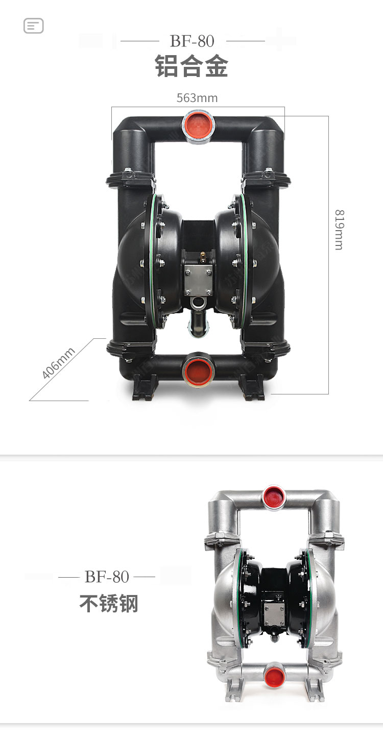 BF型大流量氣動(dòng)隔膜泵(圖9)